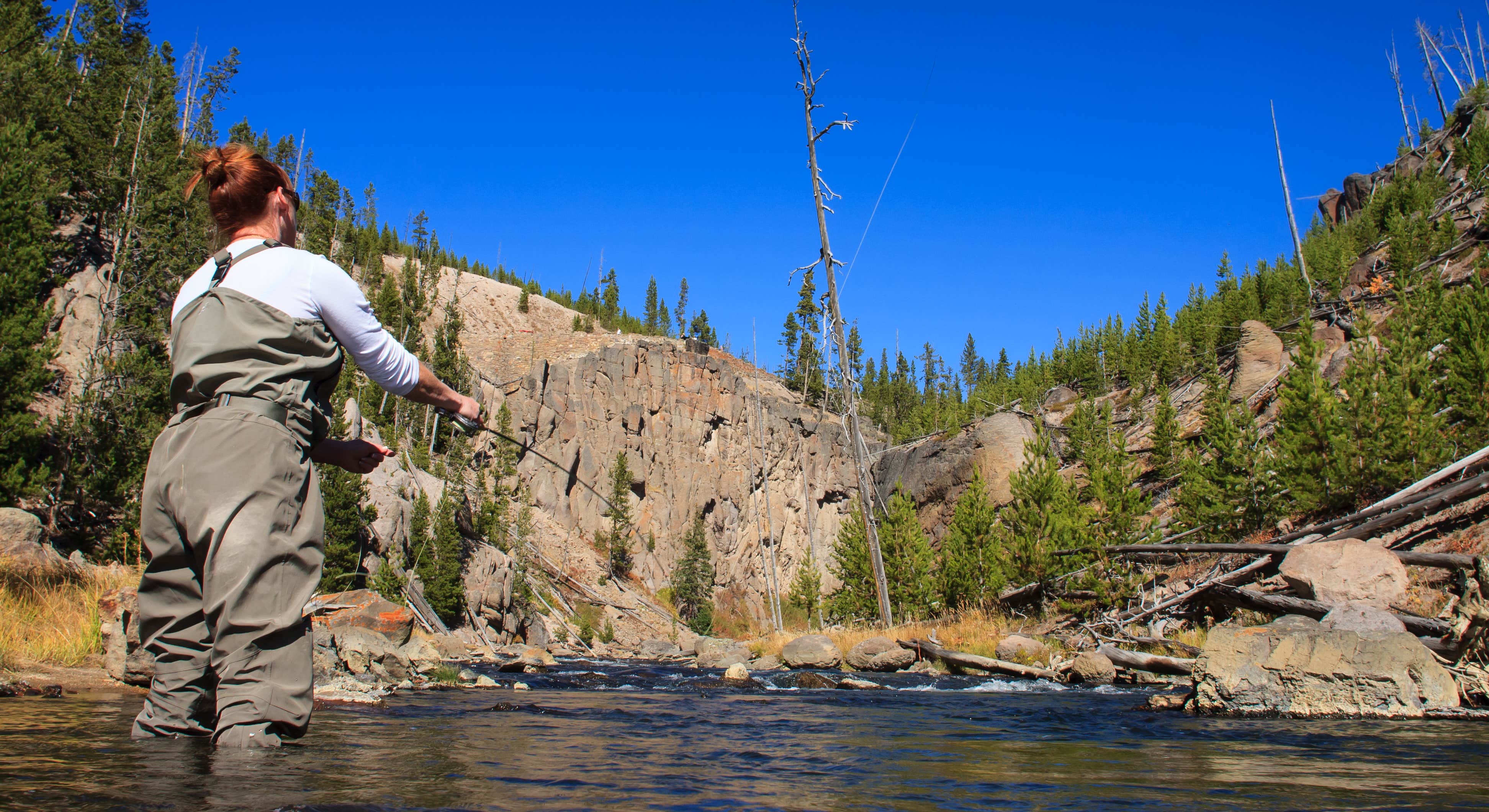 Woman Flyfishing in Yellowstone National Park