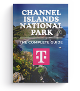 Channel Islands National Park - The Complete Guide