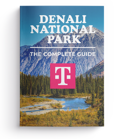 Denali National Park - The Complete Guide
