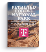 Petrified Forest National Park - The Complete Guide