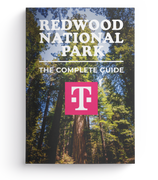 Redwood National Park - The Complete Guide