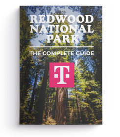 Redwood National Park - The Complete Guide