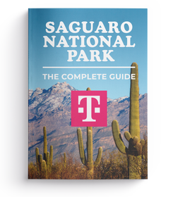 Saguaro National Park - The Complete Guide