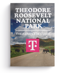Theodore Roosevelt National Park - The Complete Guide