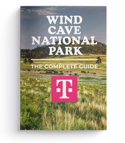 Wind Cave National Park - The Complete Guide
