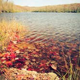 Review photo of Julian Price Park Campground — Blue Ridge Parkway by Meg  S., July 1, 2015