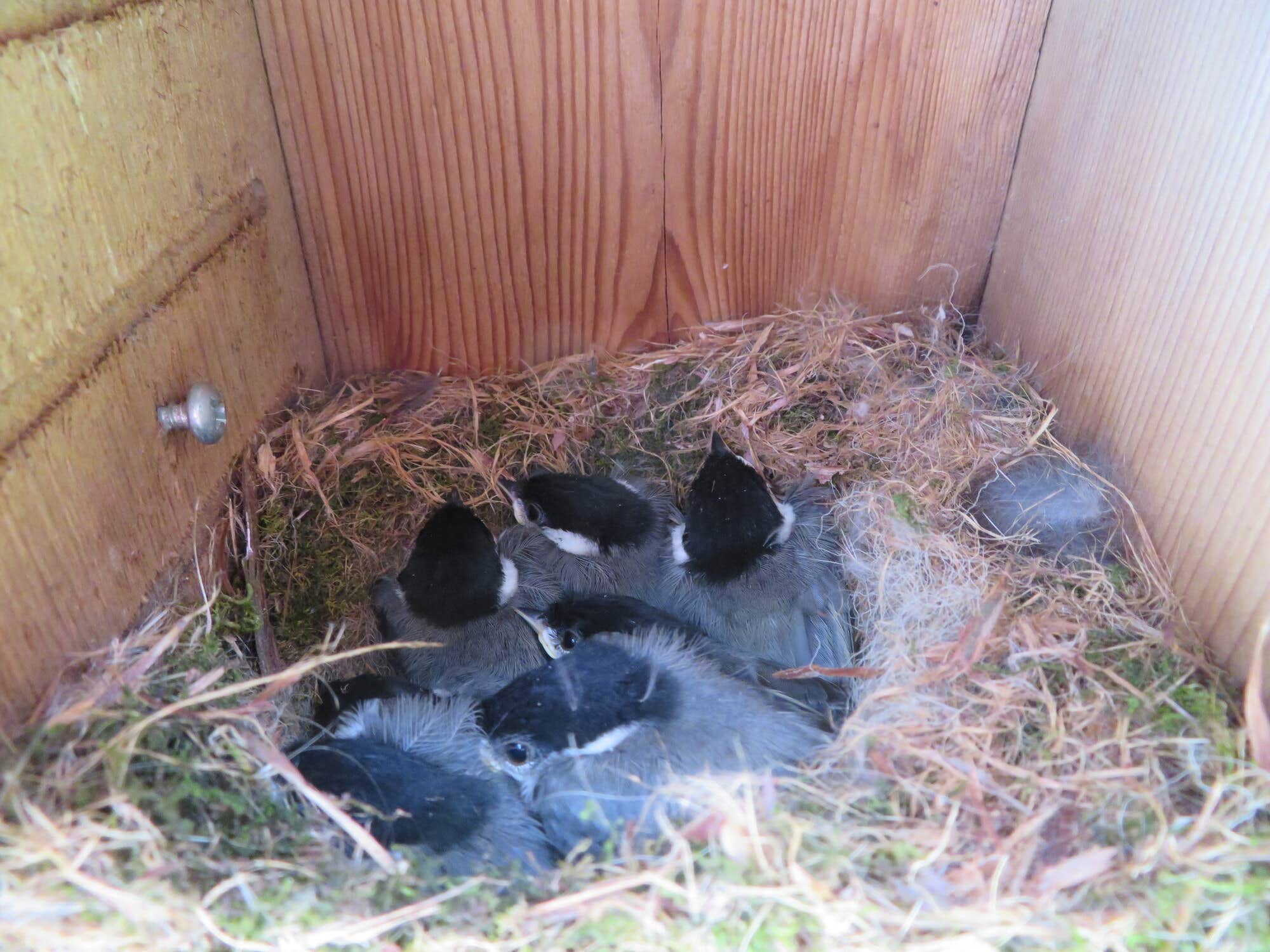 The Dyrt's photo of camping with pets at RV Texoma near Sherman, TX