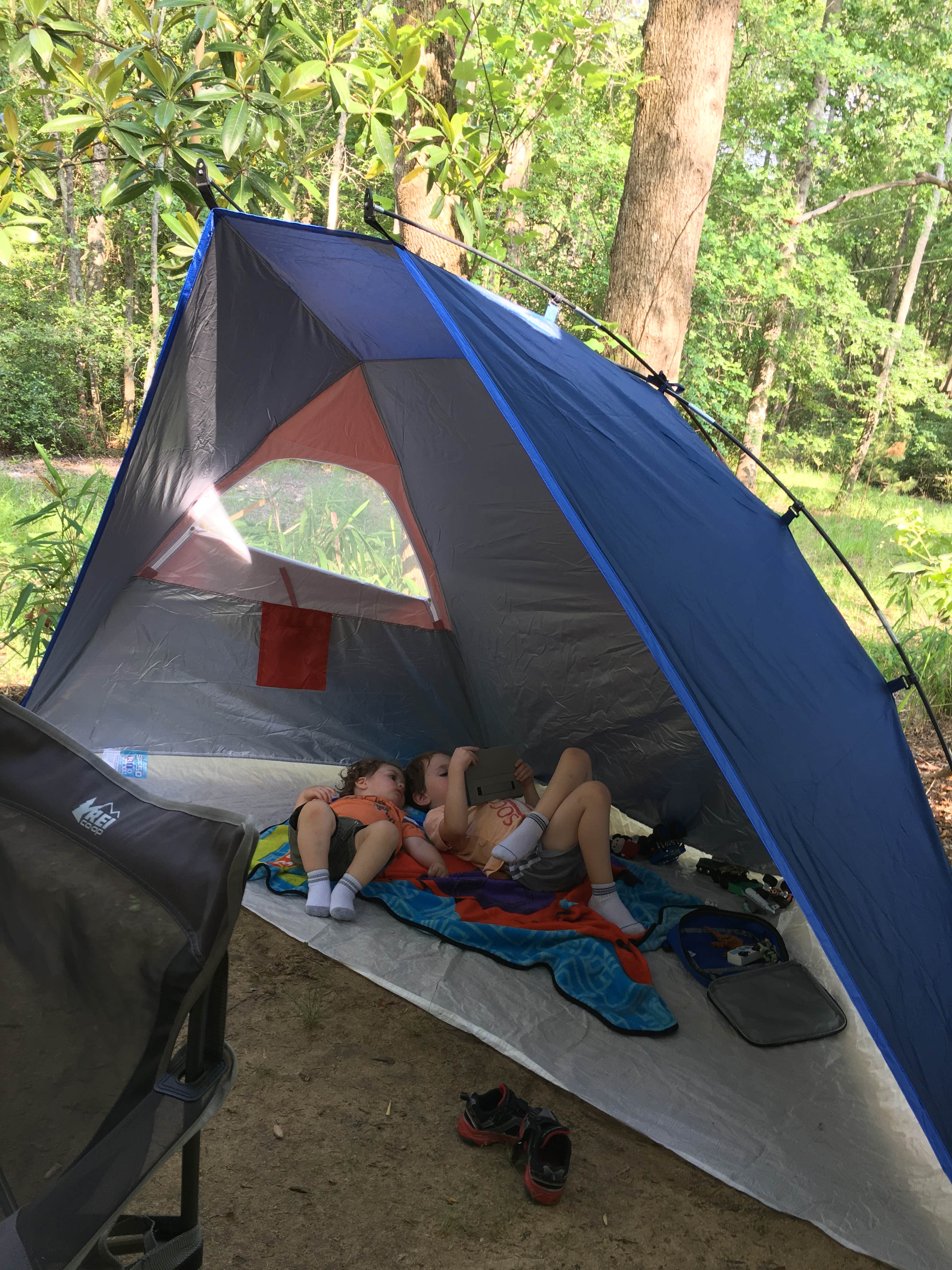 Michelle M.'s photo at Sesquicentennial State Park Campground in South Carolina