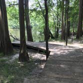 Review photo of Colleton State Park Campground by Michelle M., August 12, 2018