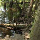 Review photo of Colleton State Park Campground by Michelle M., August 12, 2018