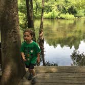 Review photo of Colleton State Park Campground by Michelle M., August 12, 2018