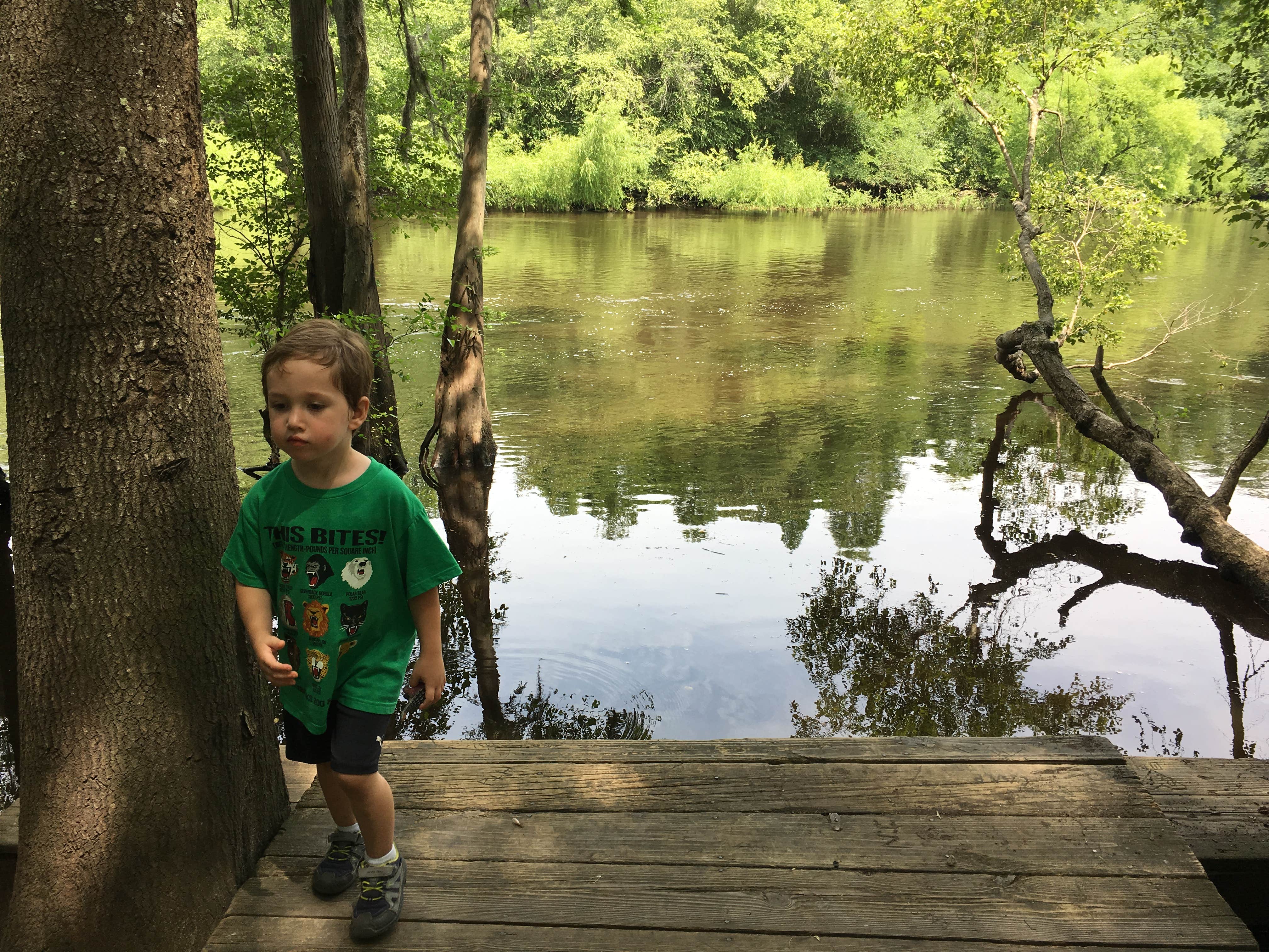 Camper submitted image from Colleton State Park Campground - 3