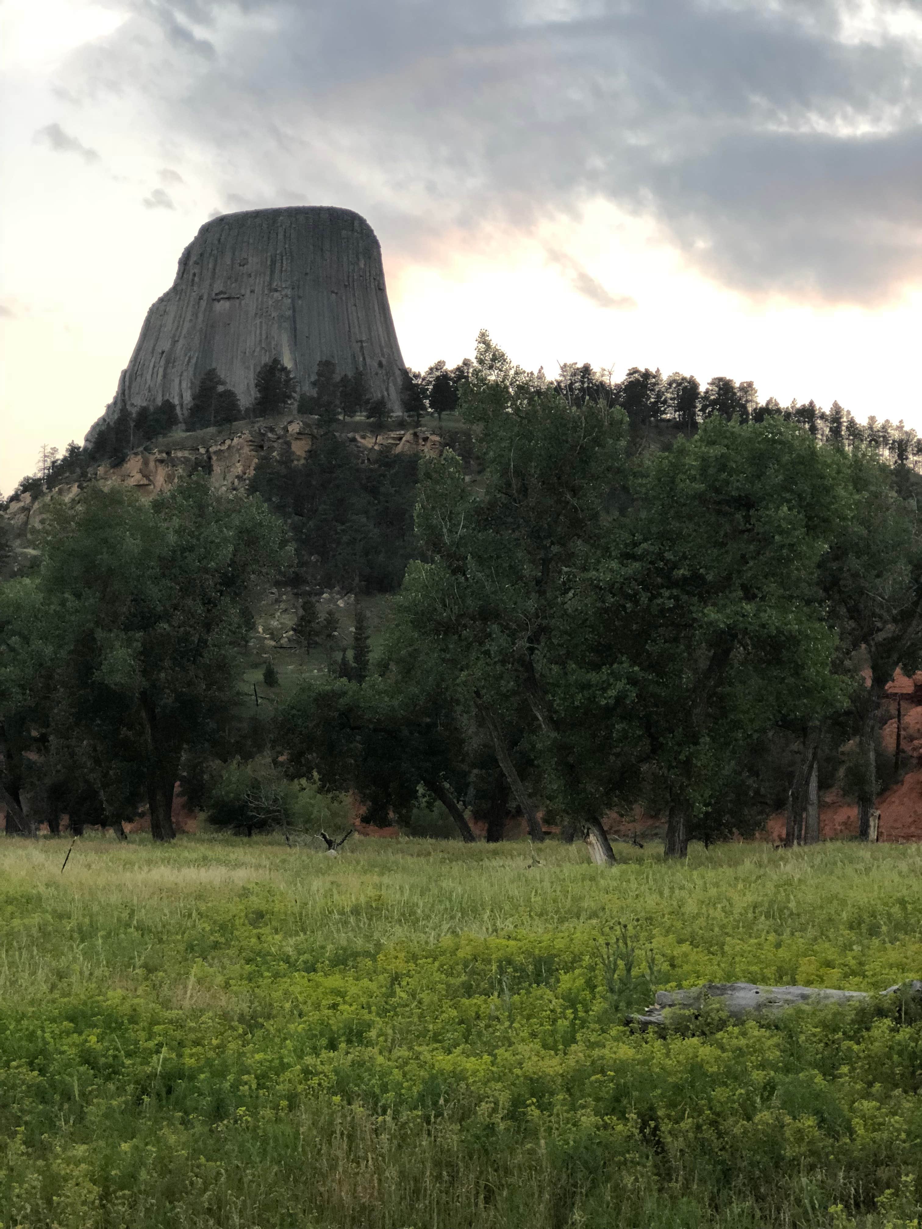 Camper-submitted photo at Devils Tower KOA near Gillette, WY