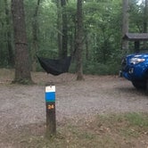 Review photo of Trail of Tears State Park Campground by Michael S., August 12, 2018