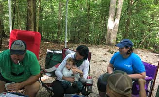 Michelle M.'s photo at Holly Point — Falls Lake State Recreation Area near Wake Forest, NC