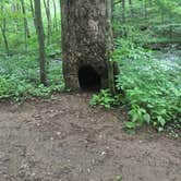 Review photo of Rocky Knob Campground — Blue Ridge Parkway by Michael S., August 12, 2018