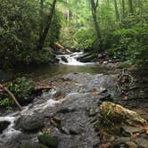 Review photo of Rocky Knob Campground — Blue Ridge Parkway by Michael S., August 12, 2018