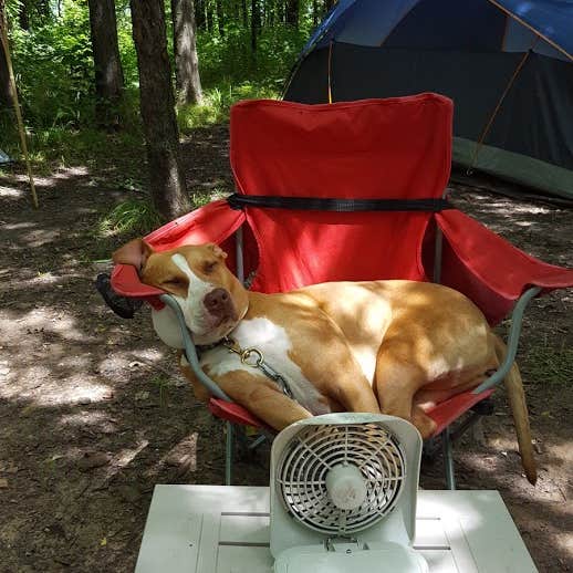 Camping