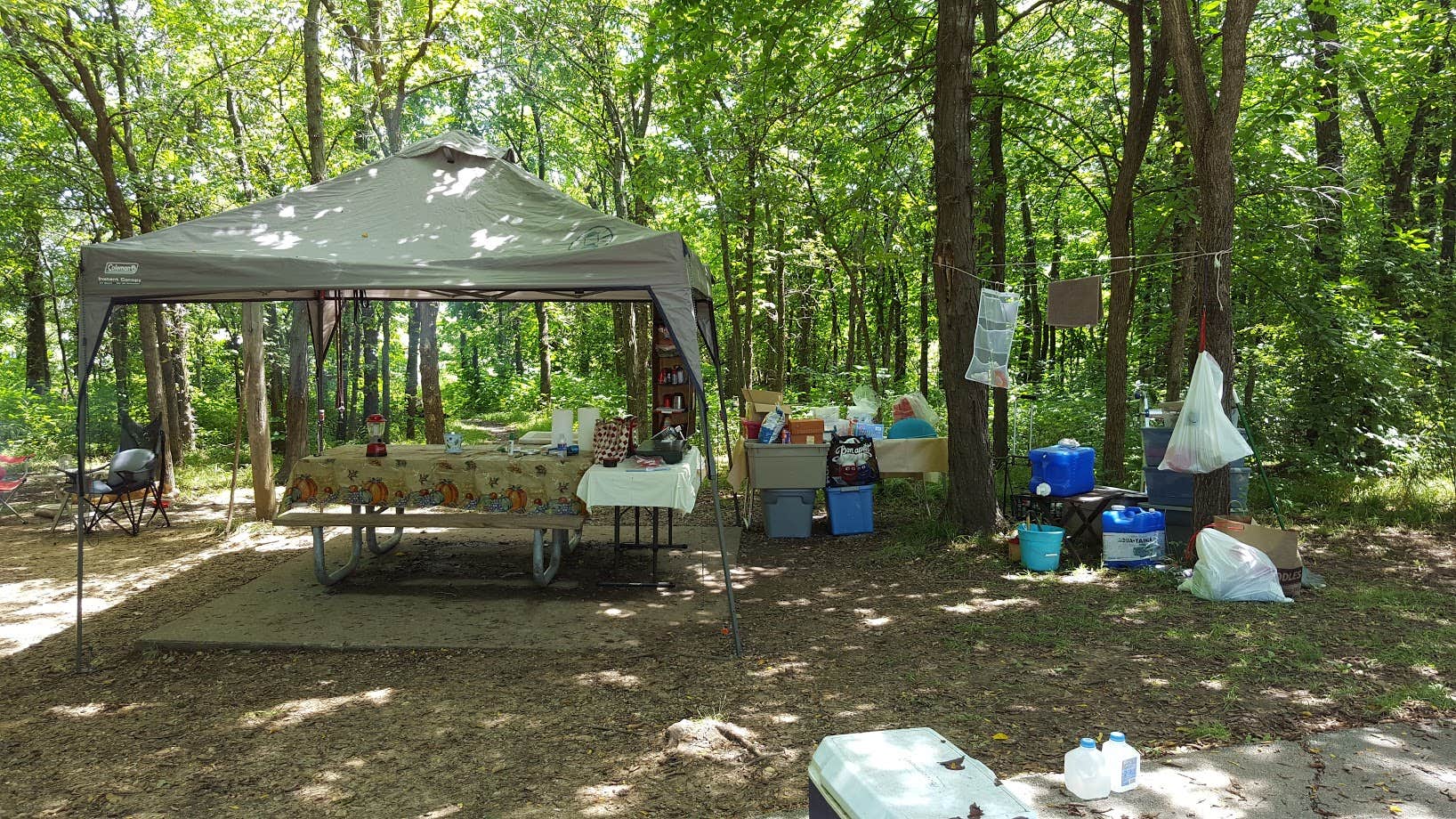 Camper submitted image from Bobcat Run — Harry S Truman State Park - 4