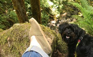 Heather B.'s photo of camping with pets at Cascadia State Park Campground near Cascadia, OR