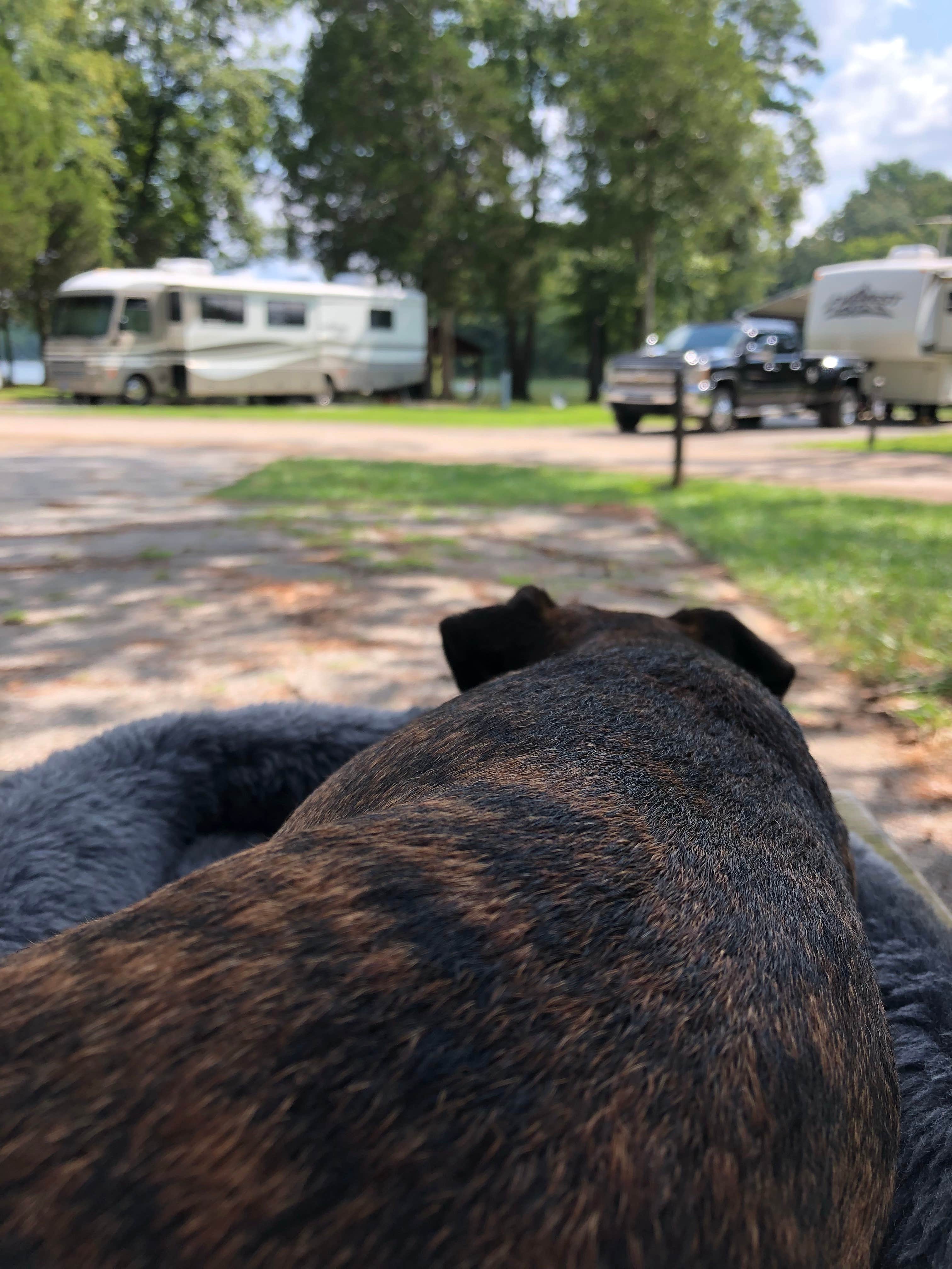 Alicia F.'s photo of rv camping at Fairview Campground — Tims Ford State Park near Estill Springs, TN
