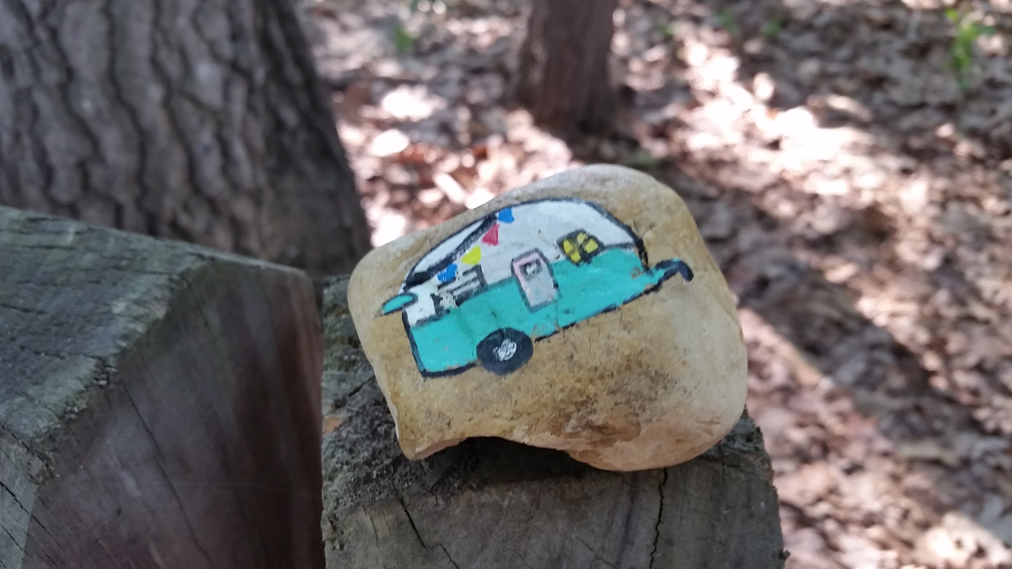 The campground hosts had a rock painting workshop. 