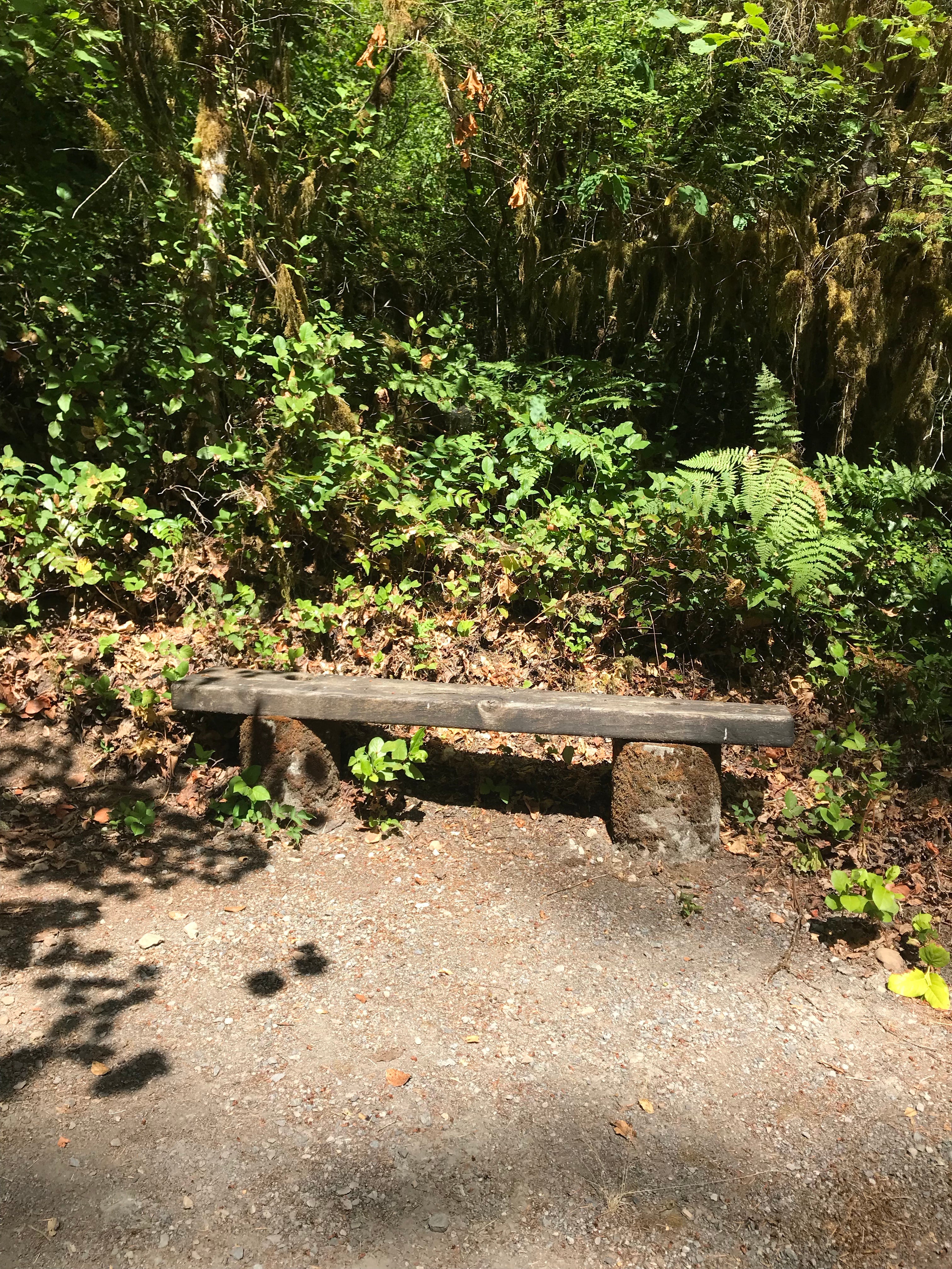 Benches to rest on Walton Ranch trail