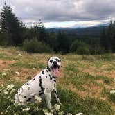 Review photo of Dairy Creek West - L L Stub Stewart State Park — L.L. Stub Stewart State Park by Jamie B., August 12, 2018