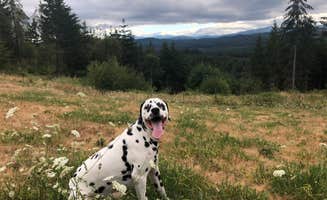 Jamie B.'s photo of camping with pets at Dairy Creek West — L.L. Stub Stewart Memorial State Park near Scappoose, OR