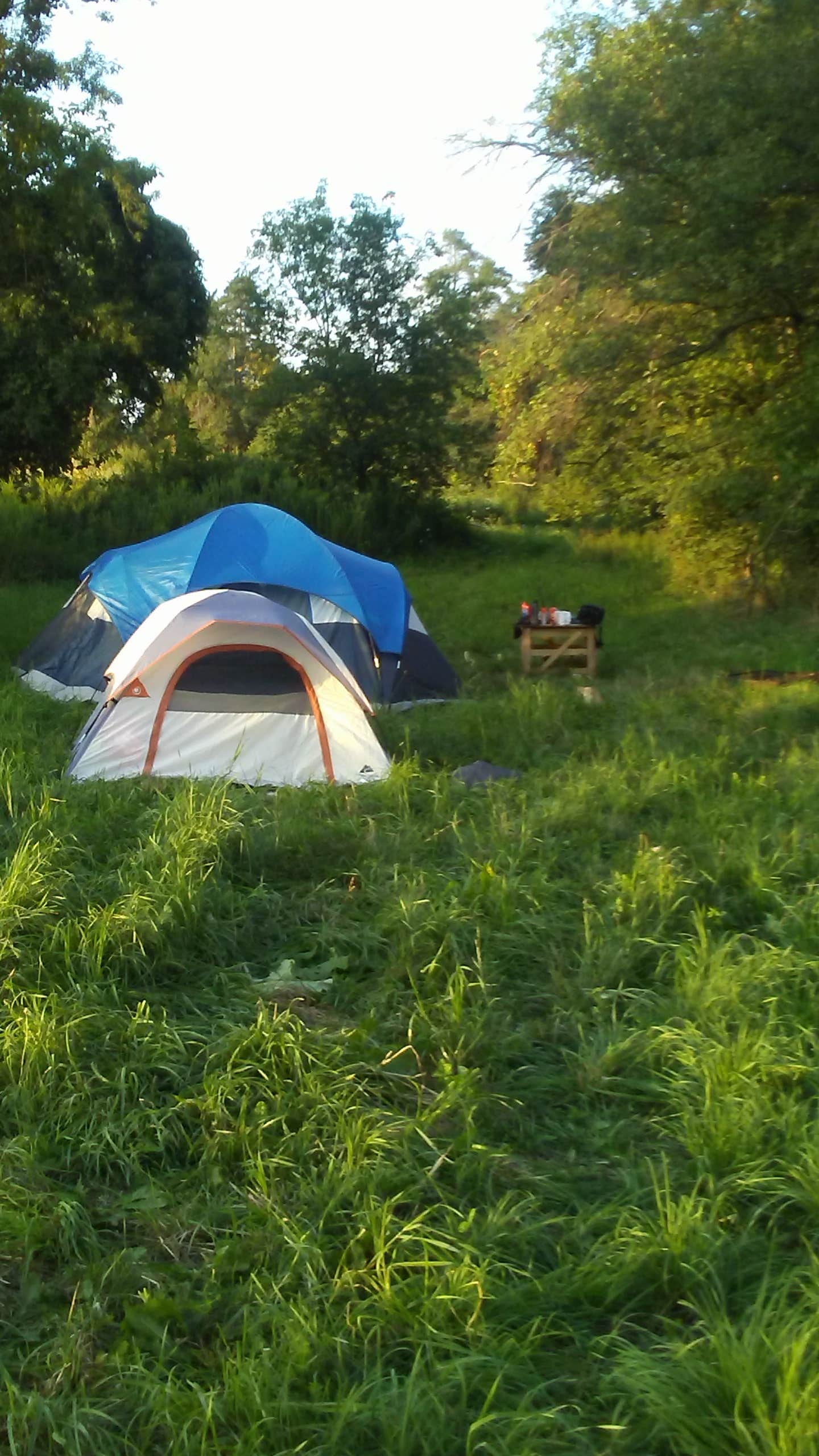 renee M.'s photo at Shady Pines Camp at CBG Farm - CLOSED in New York