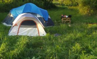 renee M.'s photo at Shady Pines Camp at CBG Farm - CLOSED near Apulia Station, NY