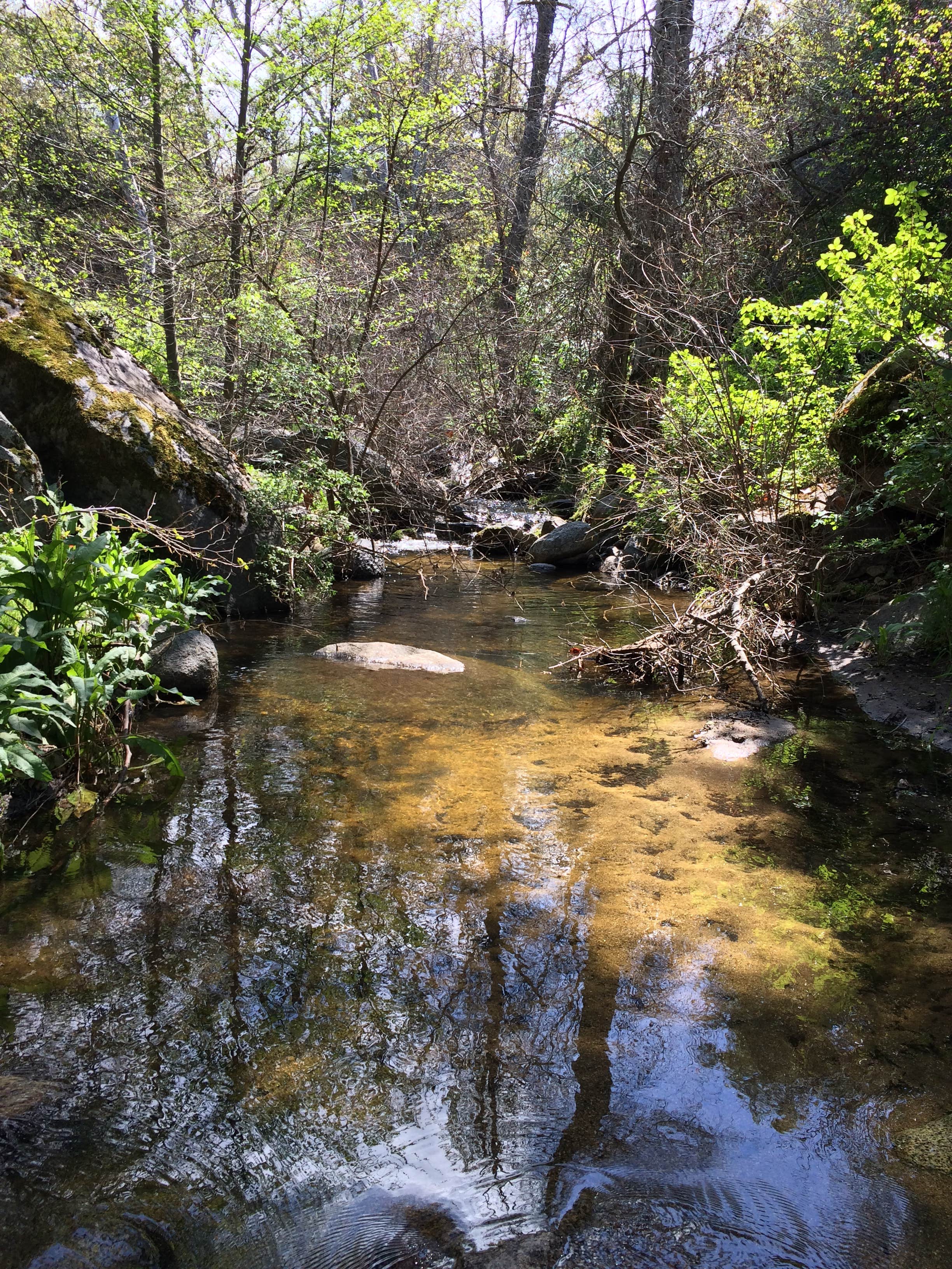 Camper submitted image from Sequoia Campground & Lodge - TEMP CLOSED THROUGH 2022 - 3