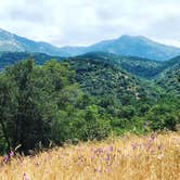 Review photo of Sequoia Campground & Lodge - TEMP CLOSED THROUGH 2022 by Erin G., August 12, 2018