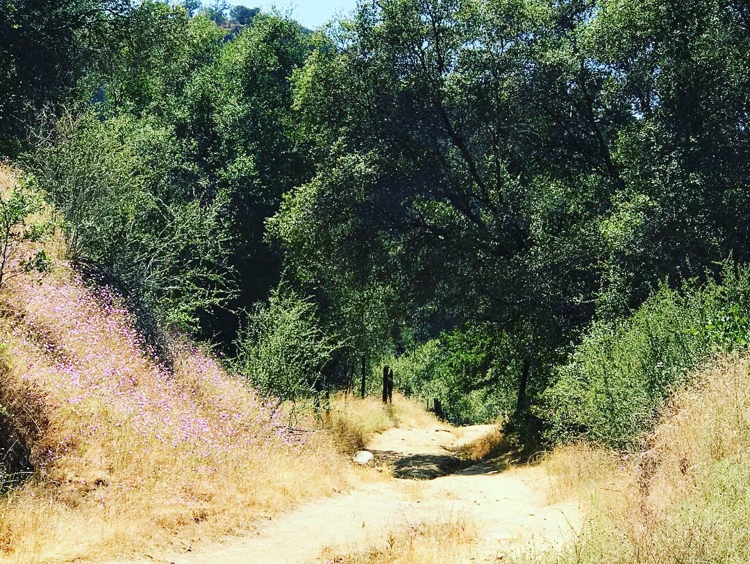 Camper submitted image from Sequoia Campground & Lodge - TEMP CLOSED THROUGH 2022 - 4