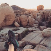 Review photo of Jumbo Rocks Campground — Joshua Tree National Park by Erin G., August 12, 2018