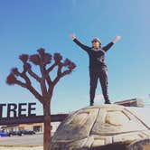 Review photo of Jumbo Rocks Campground — Joshua Tree National Park by Erin G., August 12, 2018