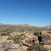 Review photo of Jumbo Rocks Campground — Joshua Tree National Park by Erin G., August 12, 2018