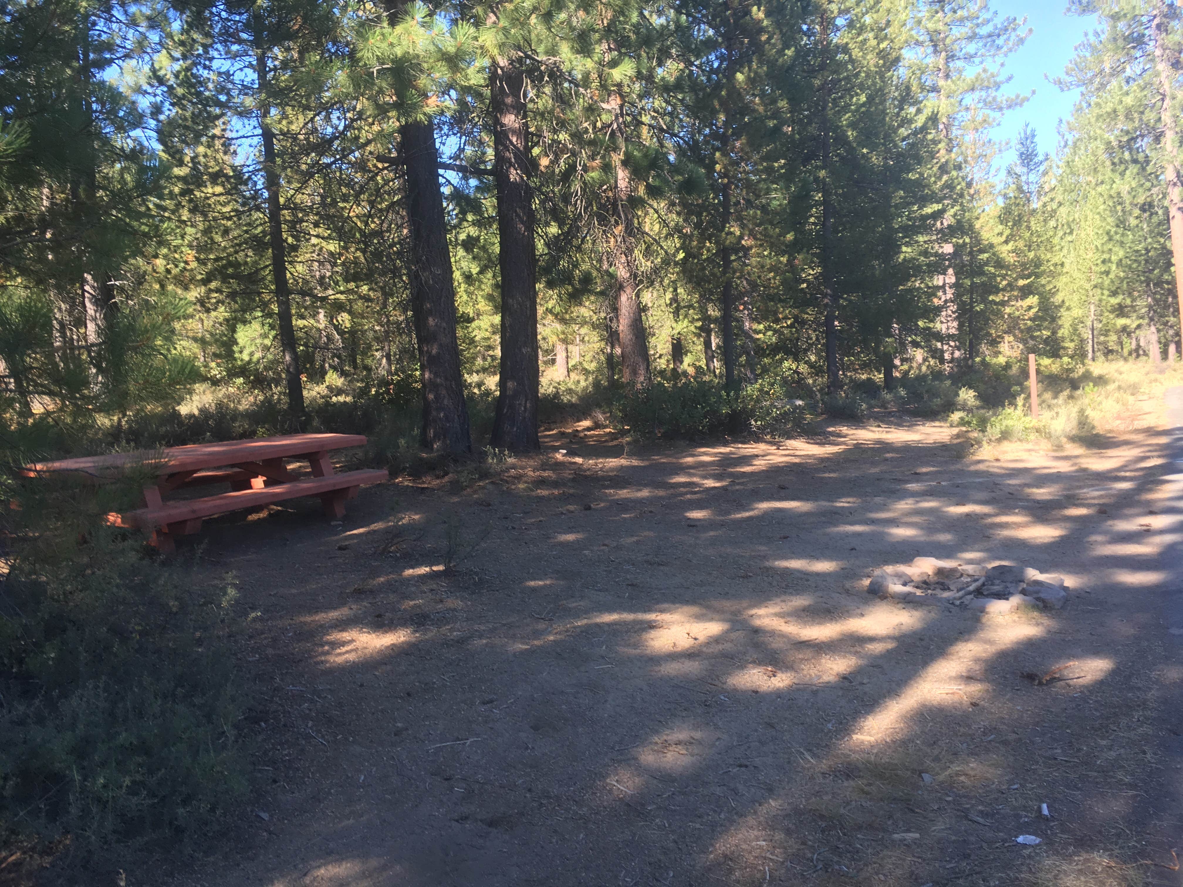Camper submitted image from Walt Haring Sno-Park & Campground - 3