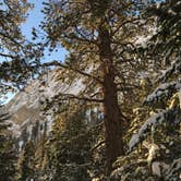 Review photo of Whitney Portal by Beau B., August 12, 2018