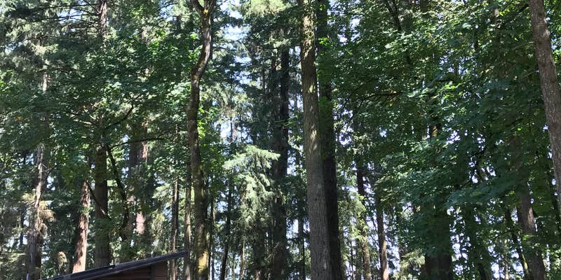 Camper submitted image from Maud Williamson State Recreation Site