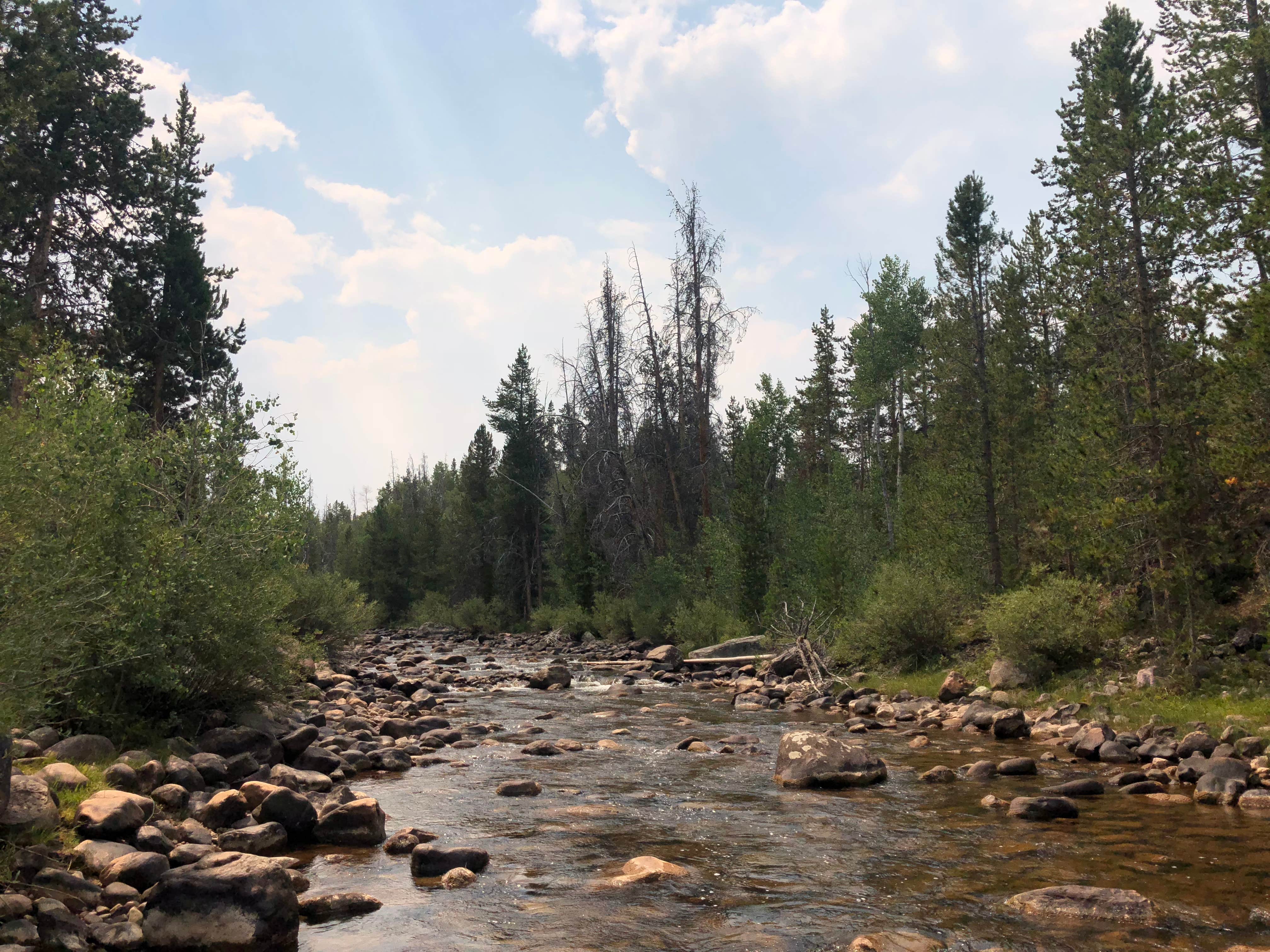 Camper submitted image from Bear River Campground (Uinta Wasatch Cache National Forest, Ut) — Uinta Wasatch Cache National Forest - 3