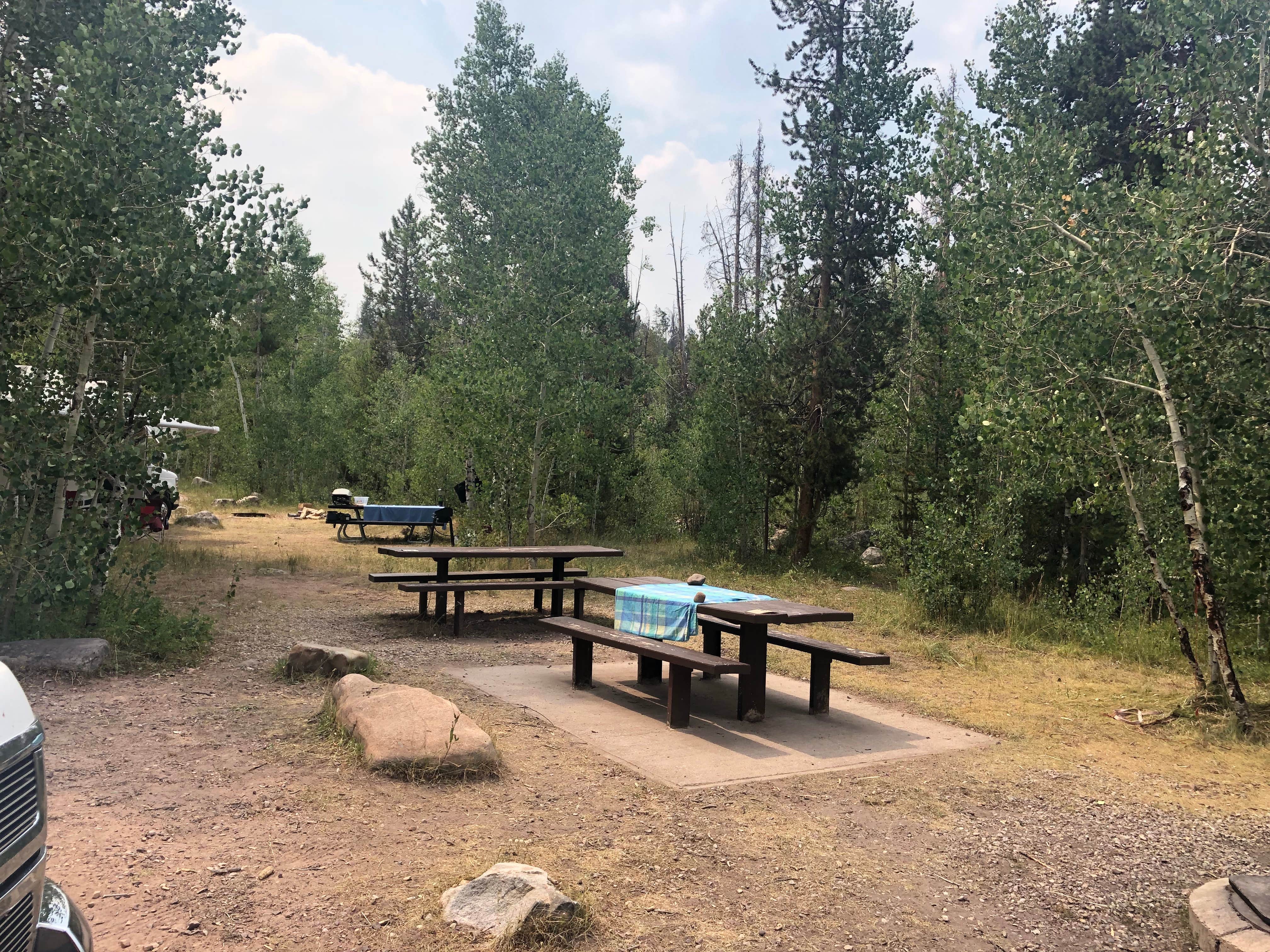 Bear river store campground