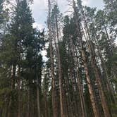 Review photo of Lilly Lake Campground — Uinta Wasatch Cache National Forest by Hannah S., August 12, 2018