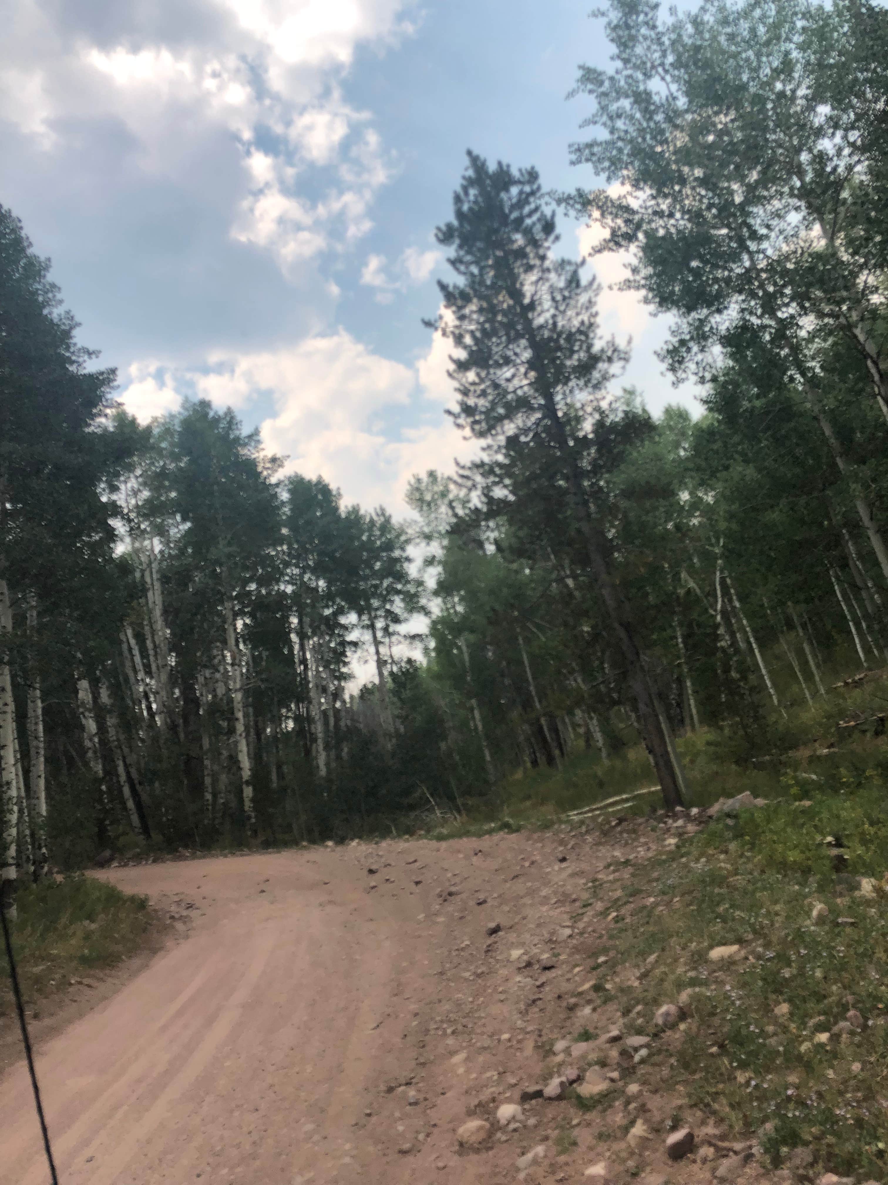 Camper submitted image from Lilly Lake Campground — Uinta Wasatch Cache National Forest - 3