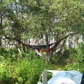 Review photo of Dr. Julian G. Bruce St. George Island State Park Campground by Melanie C., August 12, 2018