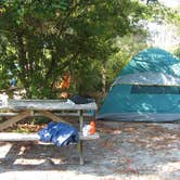 Review photo of Dr. Julian G. Bruce St. George Island State Park Campground by Melanie C., August 12, 2018