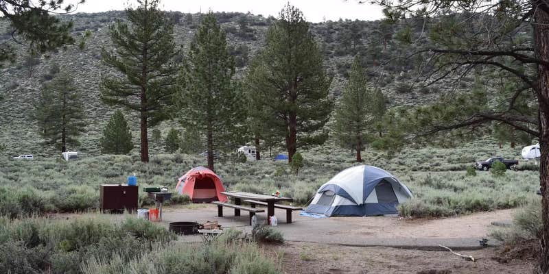 Camper submitted image from Bennett