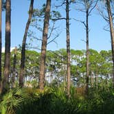 Review photo of Dr. Julian G. Bruce St. George Island State Park Campground by Melanie C., August 12, 2018