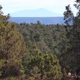 Review photo of DeMotte National Forest Campground by Crystal C., August 12, 2018