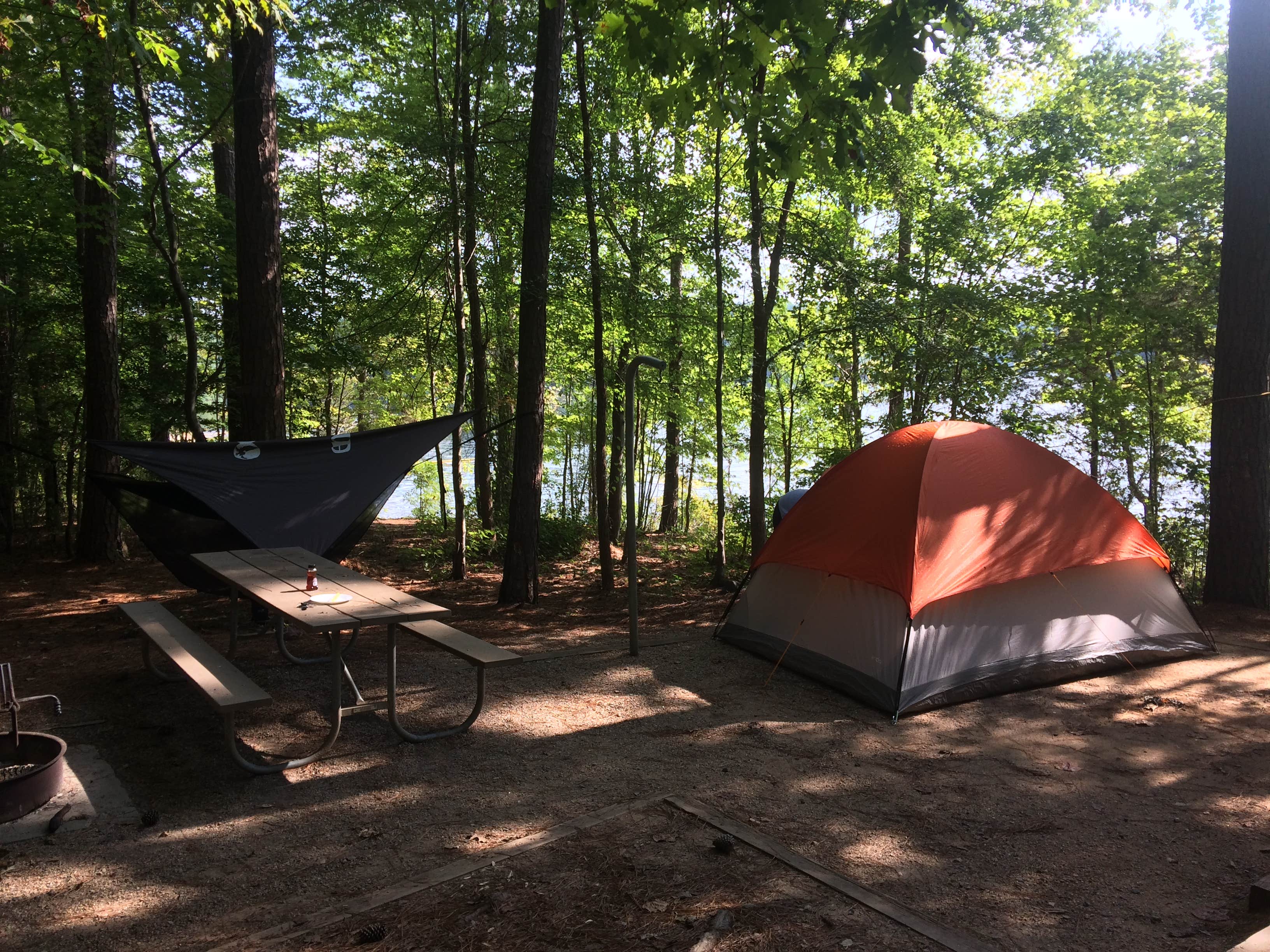 Caroline G.'s photo at Holly Point — Falls Lake State Recreation Area near Garner, NC
